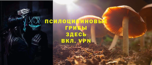 сатива Лихославль