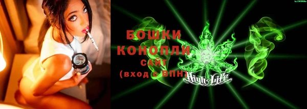 сатива Лихославль