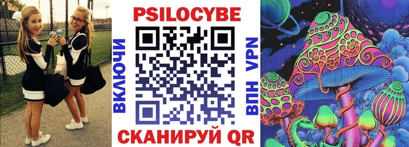 дарнет шоп  Чернушка  MEGA зеркало  Псилоцибиновые грибы мухоморы 