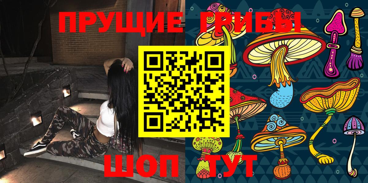 Галлюциногенные грибы мицелий Чернушка