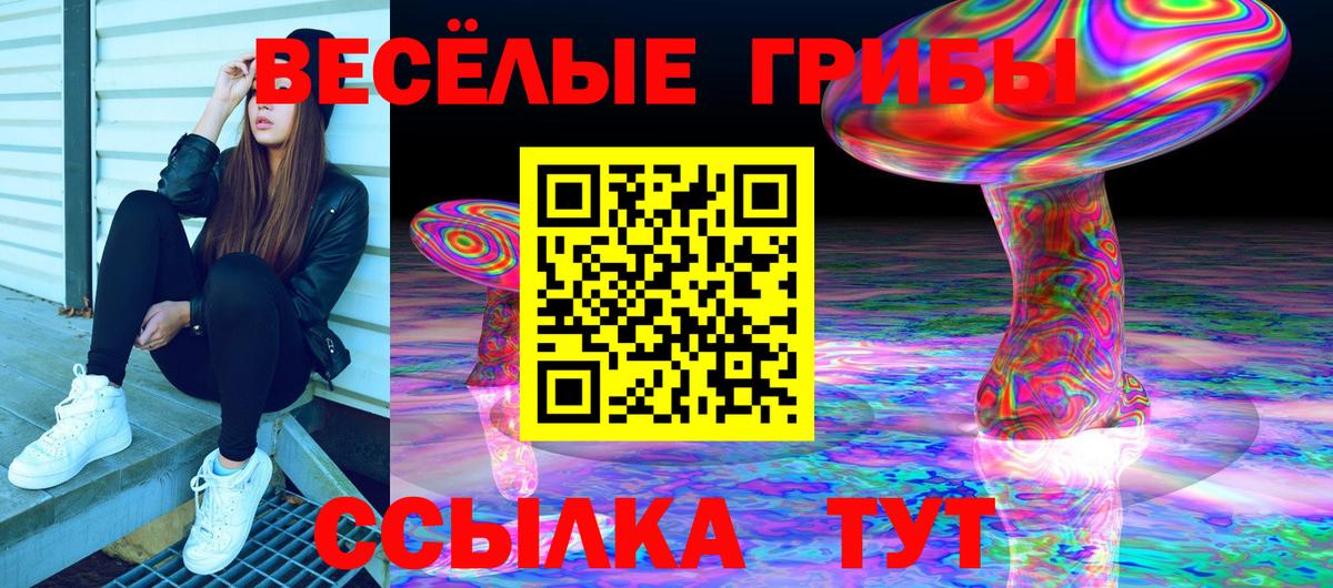Конопля  Вход с VPN  Чернушка  Мефедрон  LSD-25  МЕФ   МАРИХУАНА  Вейп ТГК 