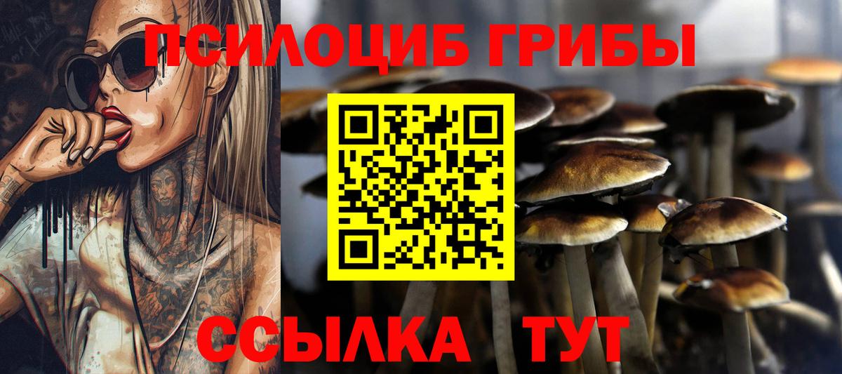 Галлюциногенные грибы MAGIC MUSHROOMS  Вход с VPN  наркошоп  Псилоцибиновые грибы прущие грибы  Чернушка 